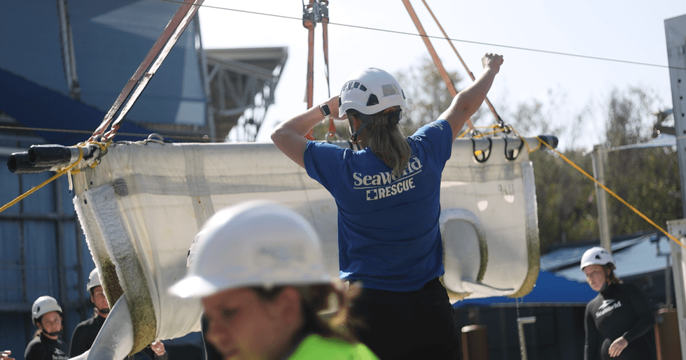 Seaworld team lifts a large stretcher using pulleys for a rescue operation.