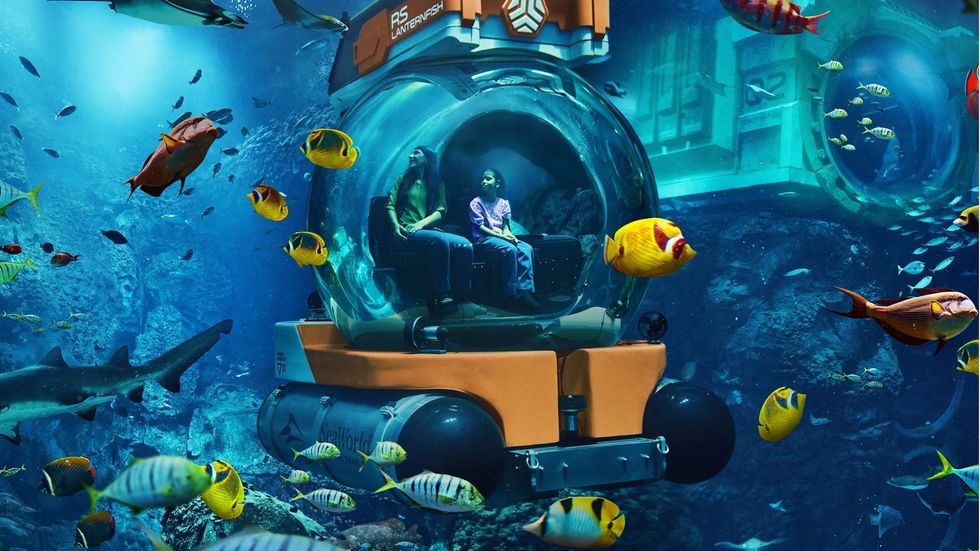 SeaWorld\u00ae Yas Island, Abu Dhabi - SeaSub, under water with tropical fish