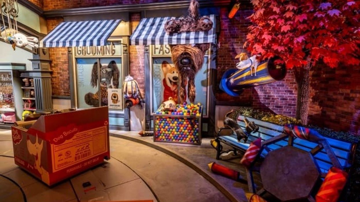 Secret Life of Pets Off the Leash Universal Hollywood