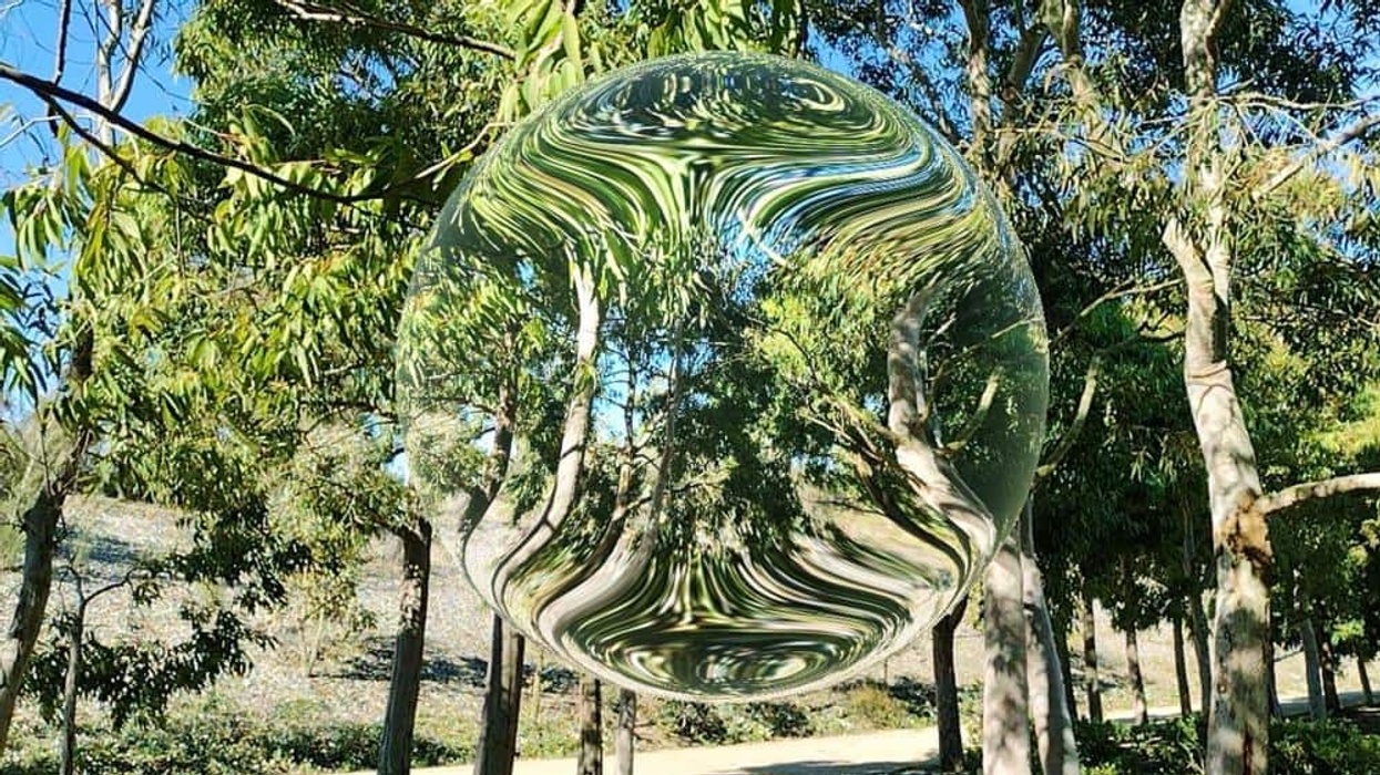 seeing the invisible botanical gardens