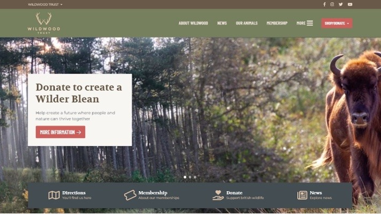 Semantic Wildwood Trust website