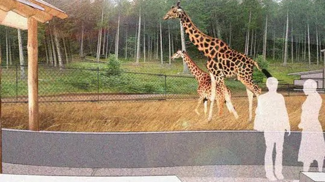 seneca park zoo