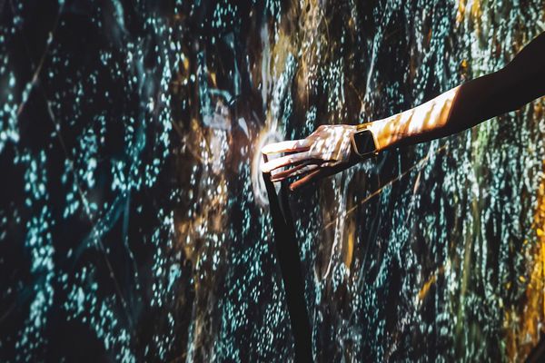 Sensations soleil couchant Sensations soleil levant - blooloop innovation awards