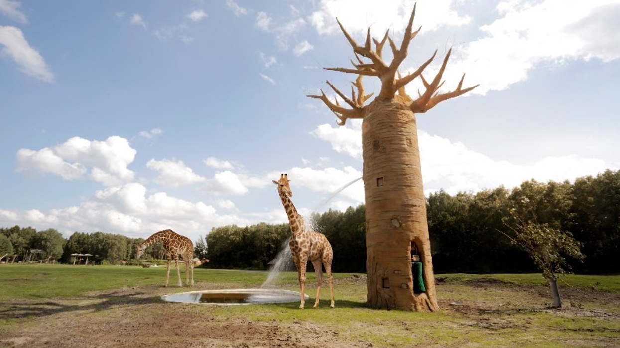 Serengeti Interactives app at Serengeti Park