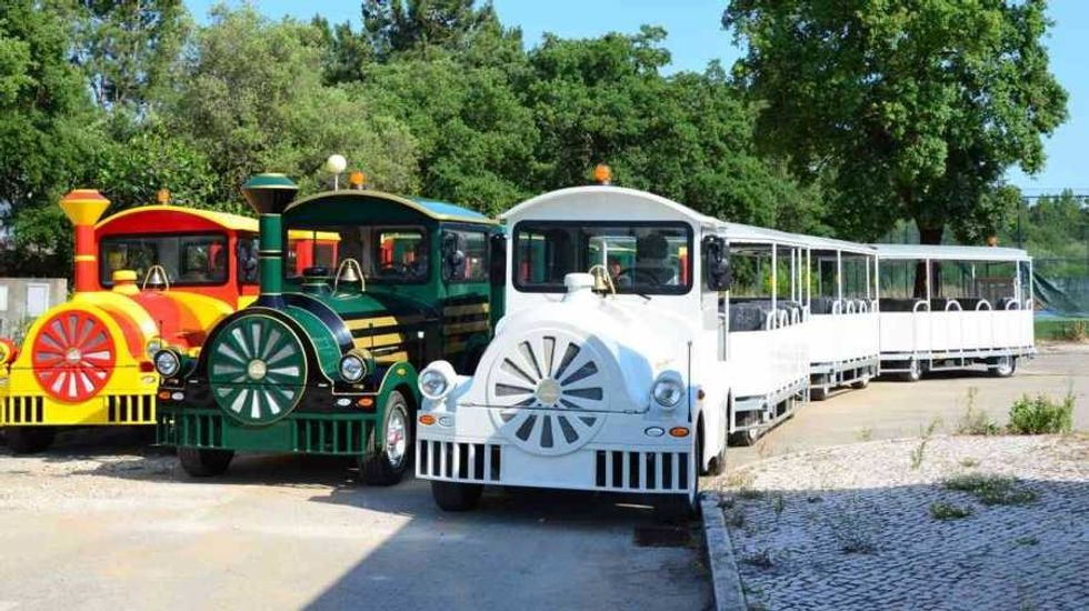 Severn Lamb land trains