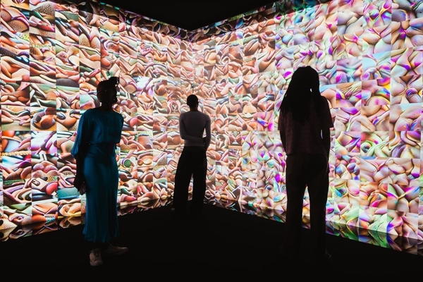 sex, desire & data - abstract art wall