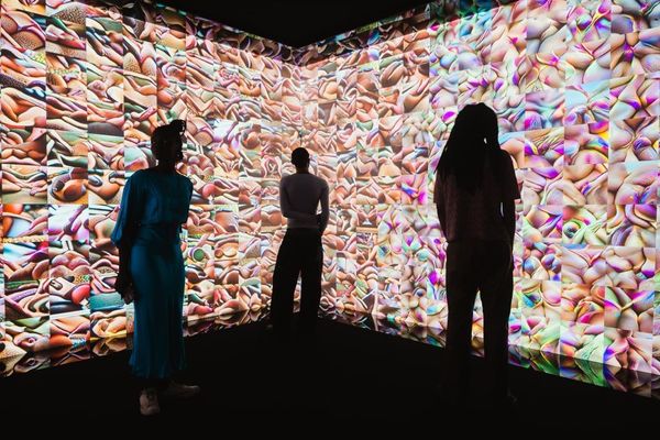 sex, desire & data - abstract art wall