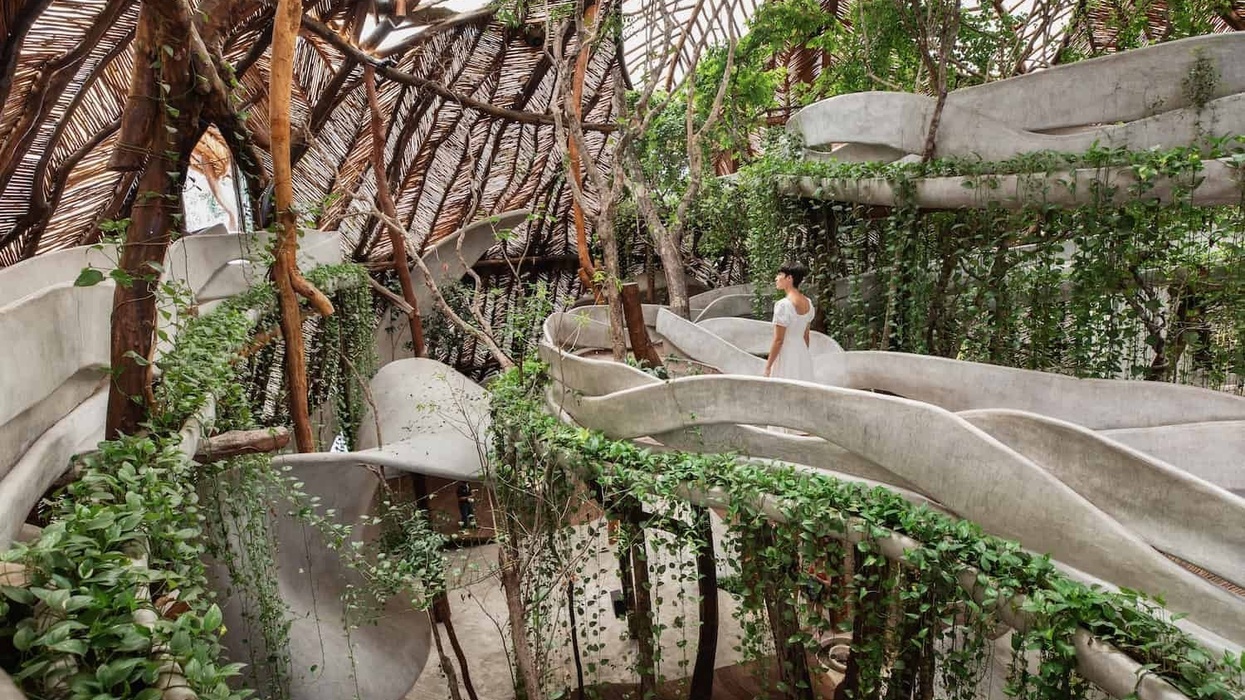 sfer ik mexico mama endangered bees exhibition