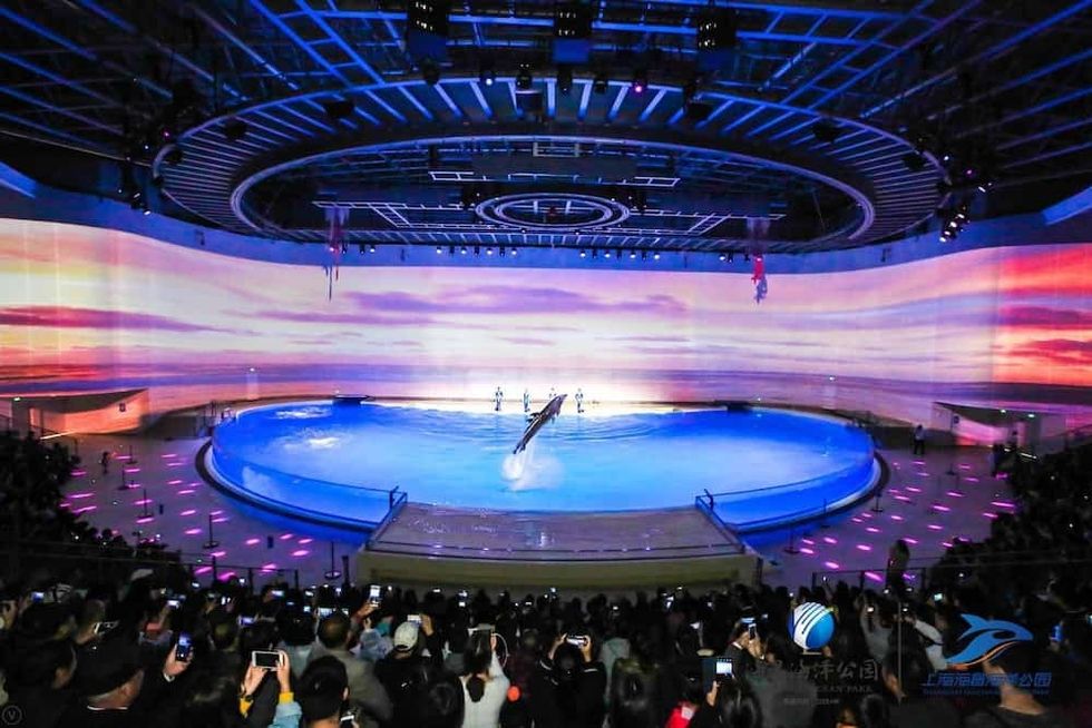 Shanghai-Haichang-Ocean-Park_dolphin-show-theatre