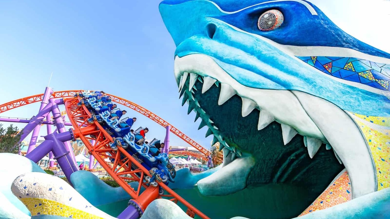 Shanghai Haichang Ocean Park - how Asian attractions are dealing with coronavirus