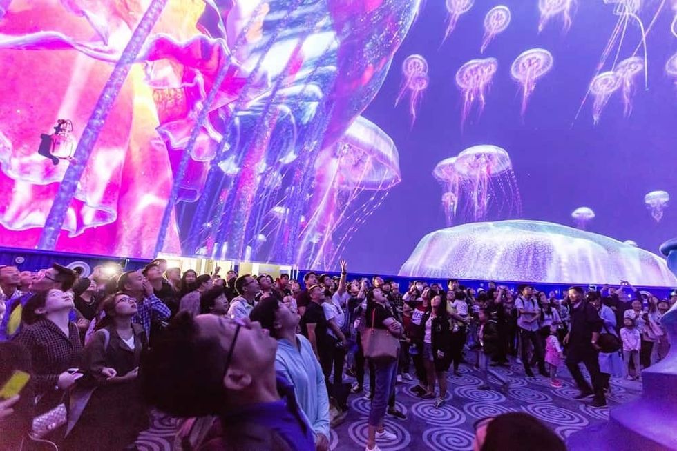 Shanghai-Haichang-Ocean-Park-jellyfish-multimedia-show