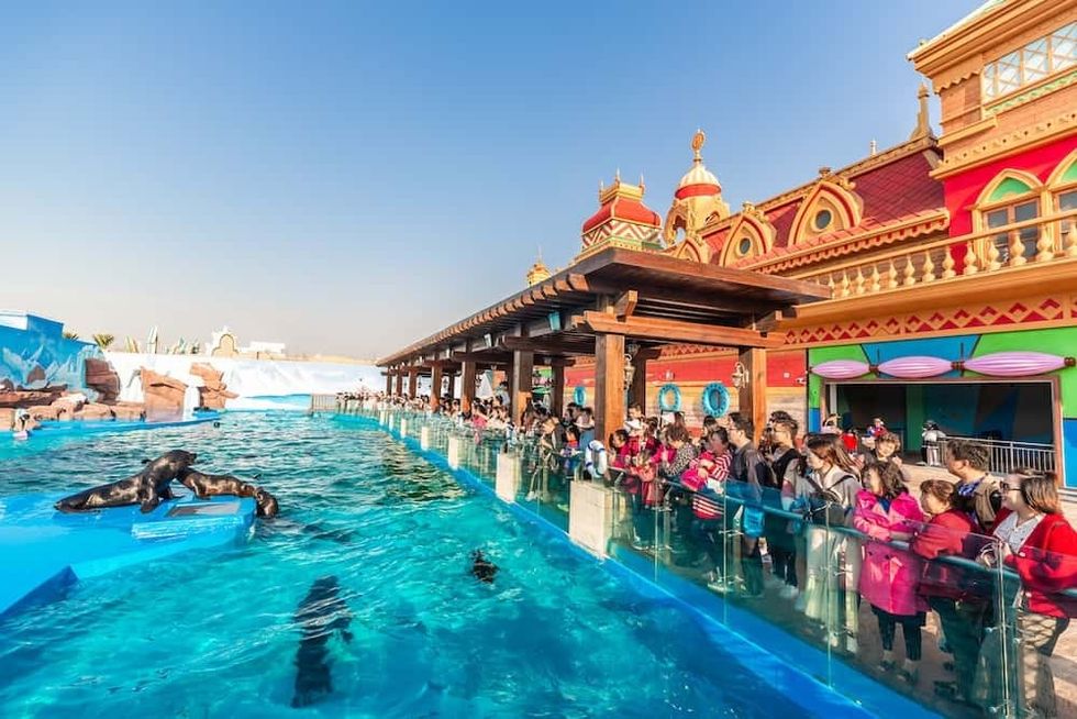 Shanghai-Haichang-Ocean-Park_sea-lions