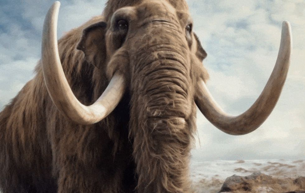 shanghai natural history museum lenovo AI experience