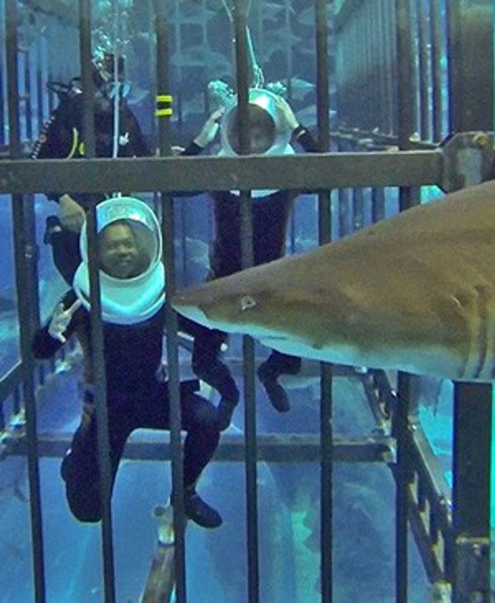 shark-encounter-cage-shark-feeding-dubai-aquarium