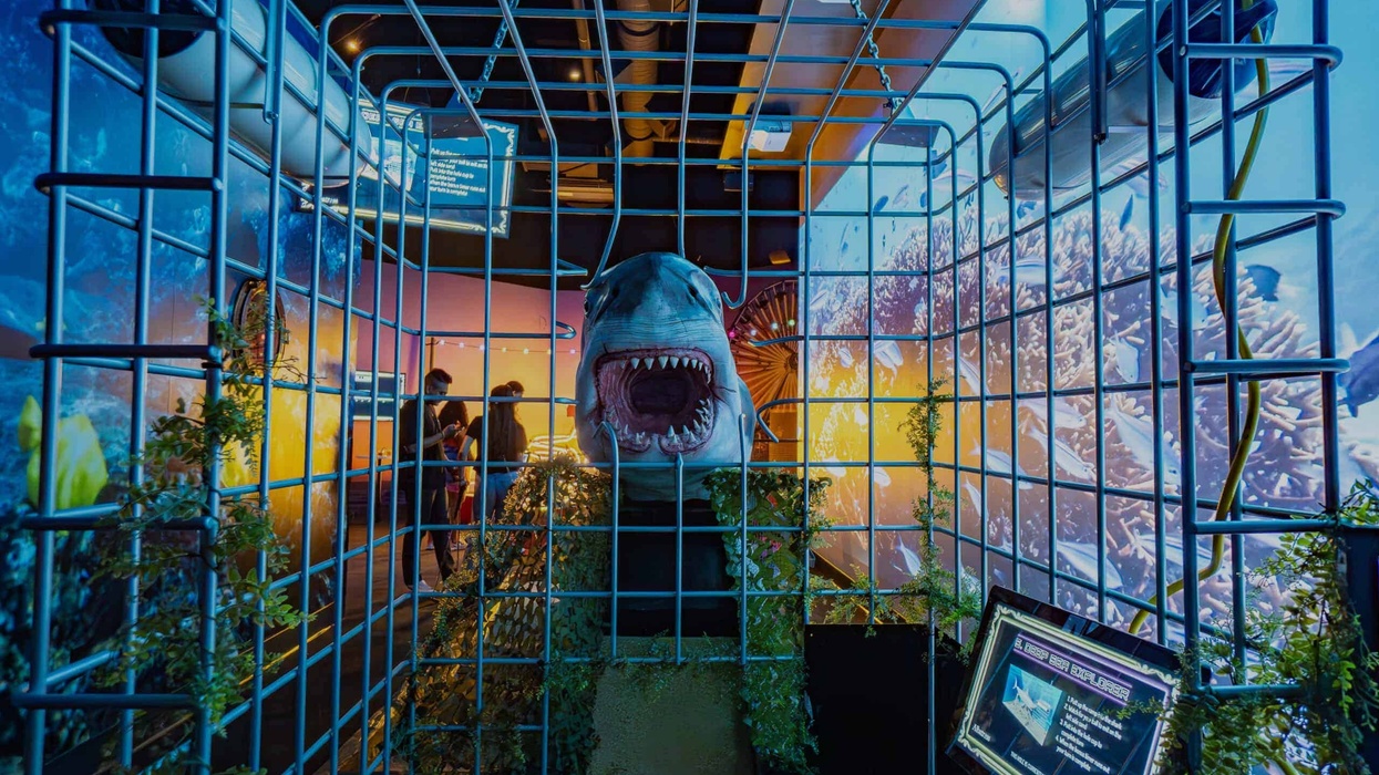 Shark in a cage mini-golf hole with colorful ocean backdrop and visitors observing.