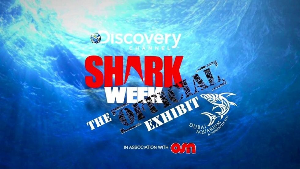 shark-week-dubai-aquarium-discovery-channel-final