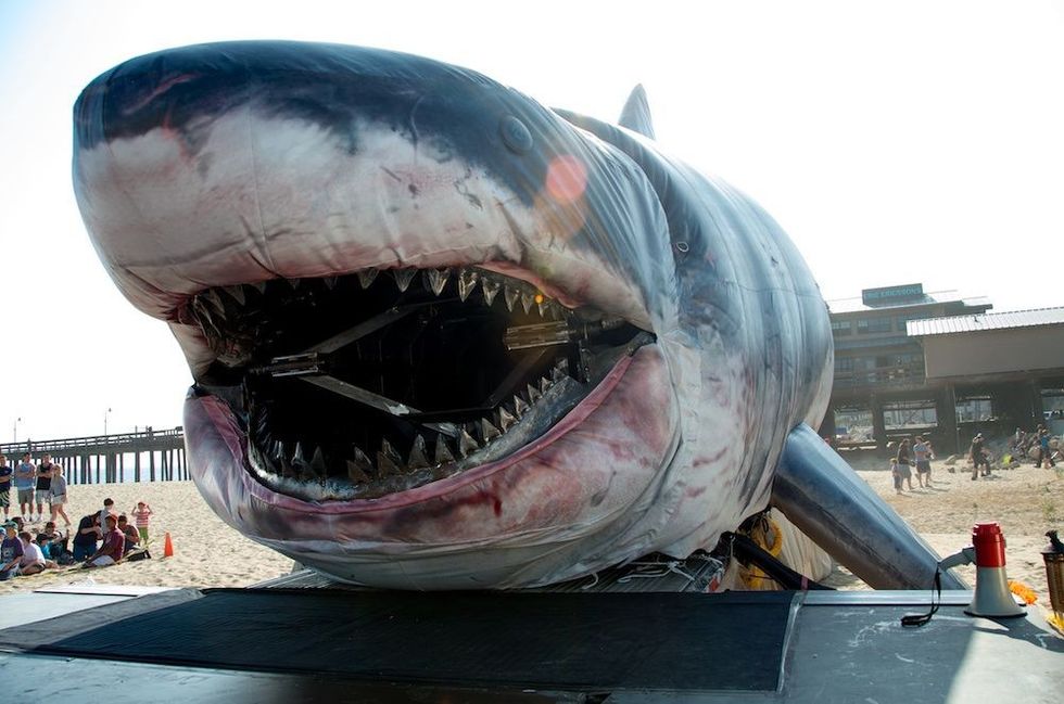 sharkzilla by technifex