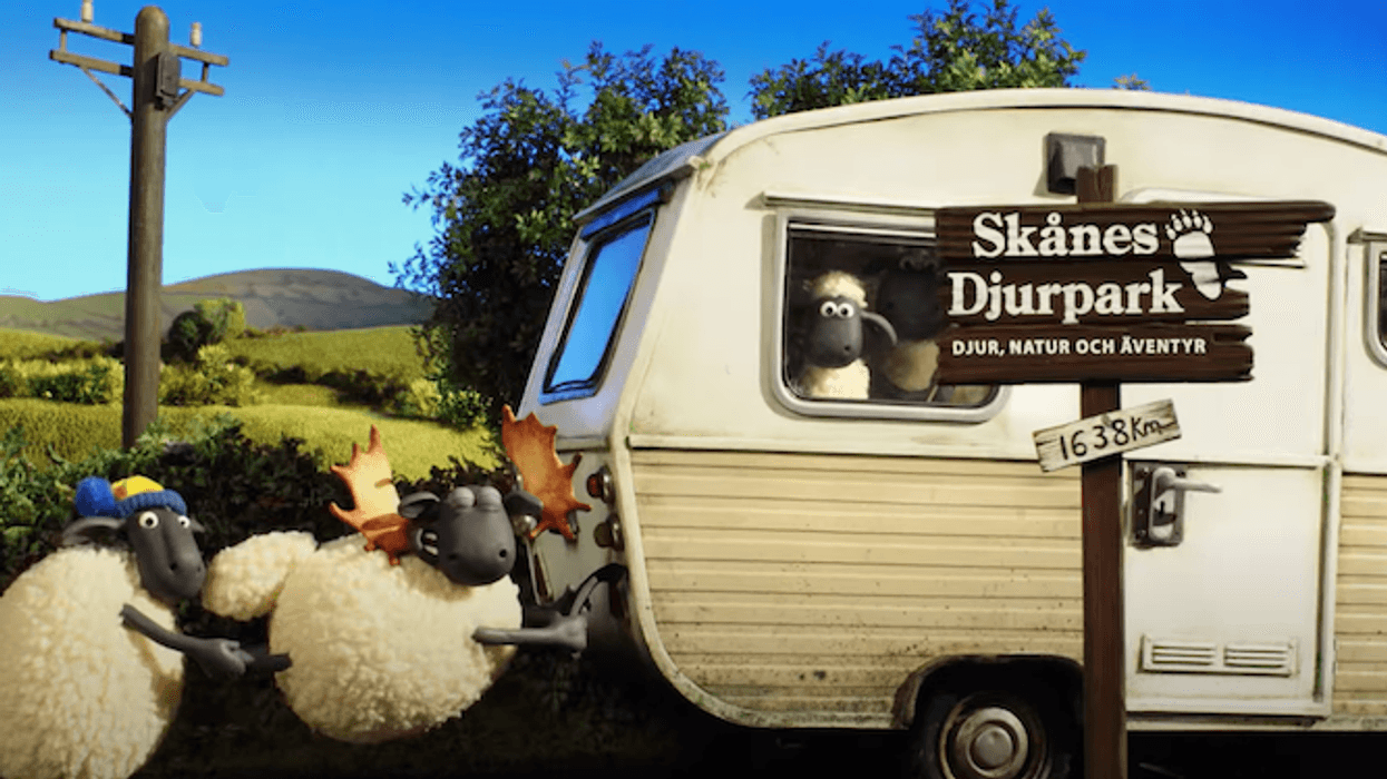 Shaun the Sheep Skanes Djurpark
