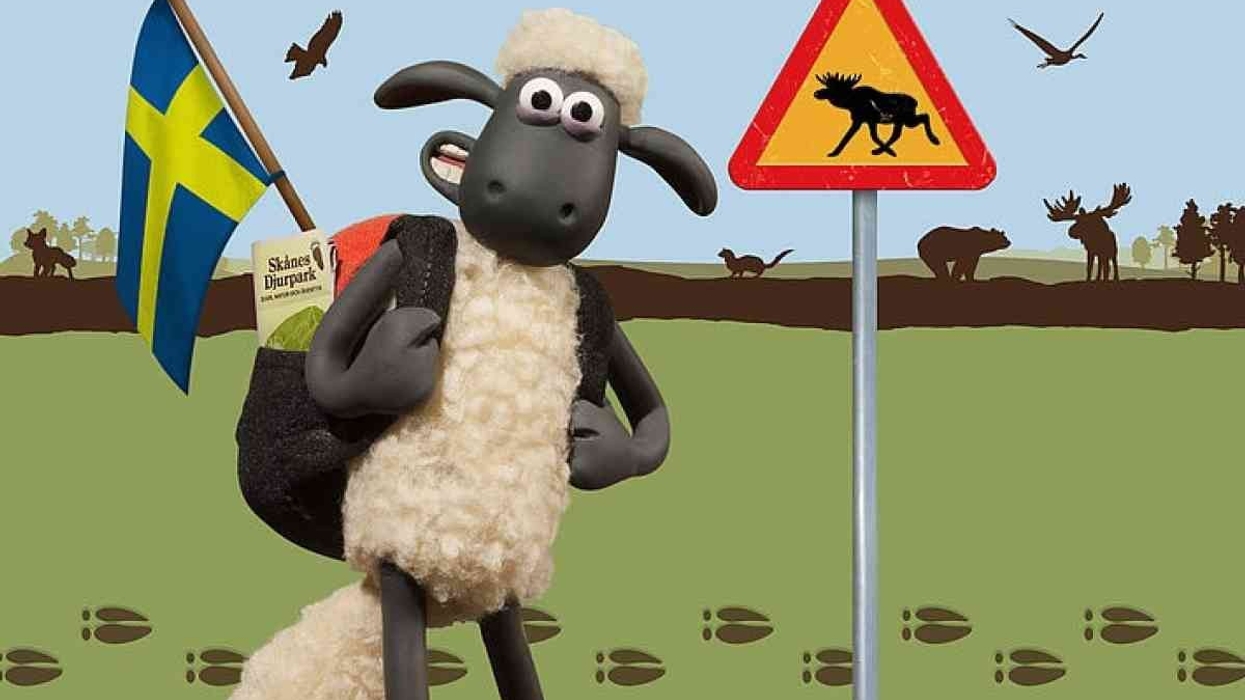 Shaun the Sheep’s world at Skånes Djurpark