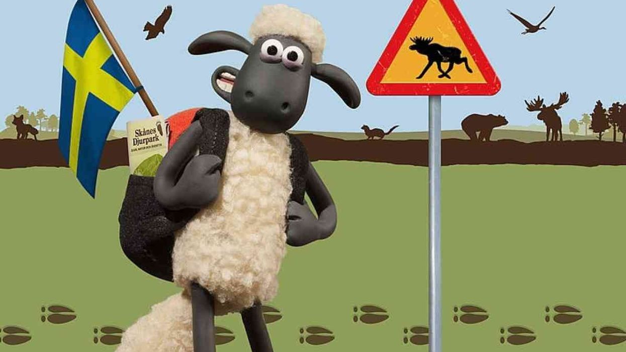Shaun the Sheep’s world at Skånes Djurpark