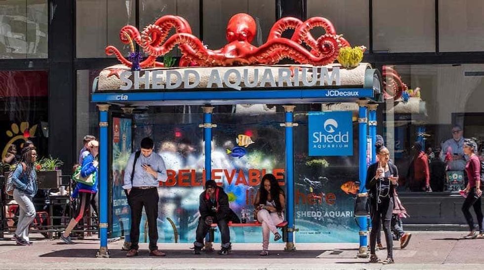 Shedd Aquarium Octopus-Bus-Shelter-Bridgewater Studio