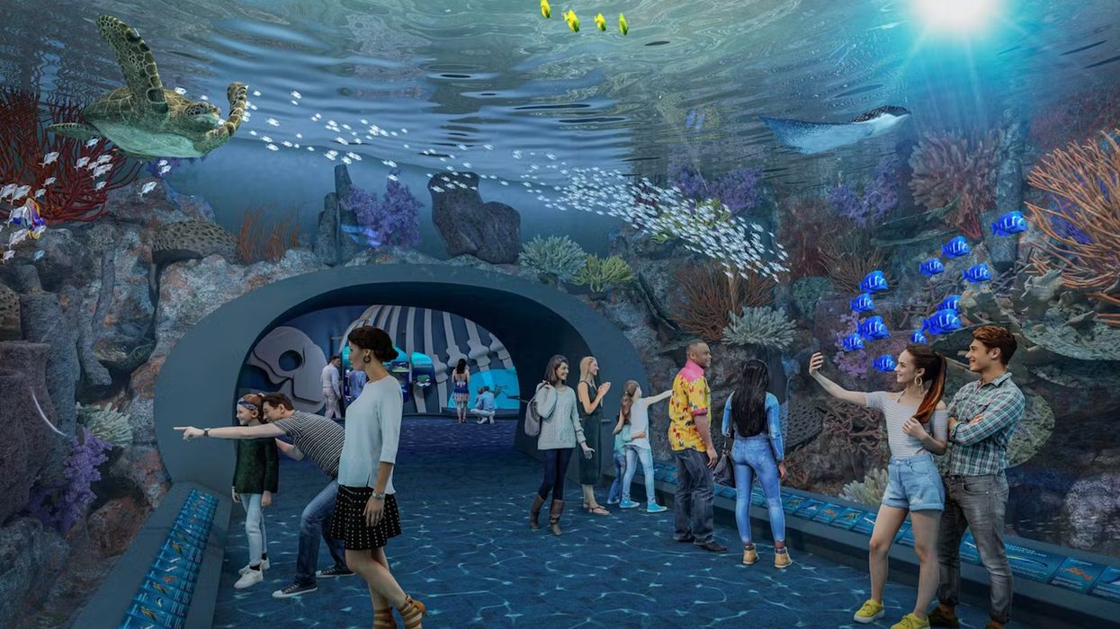 shedd aquarium redesign
