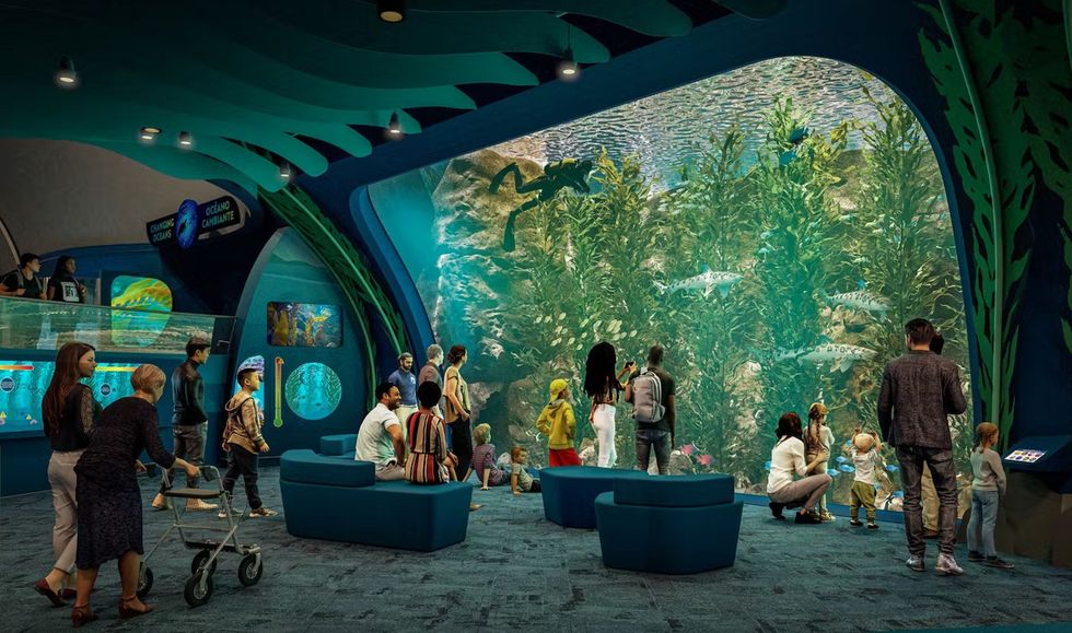 shedd aquarium redesign