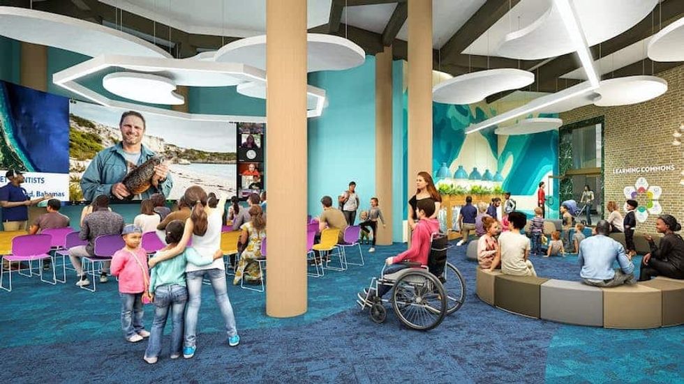 Shedd Aquarium transformation