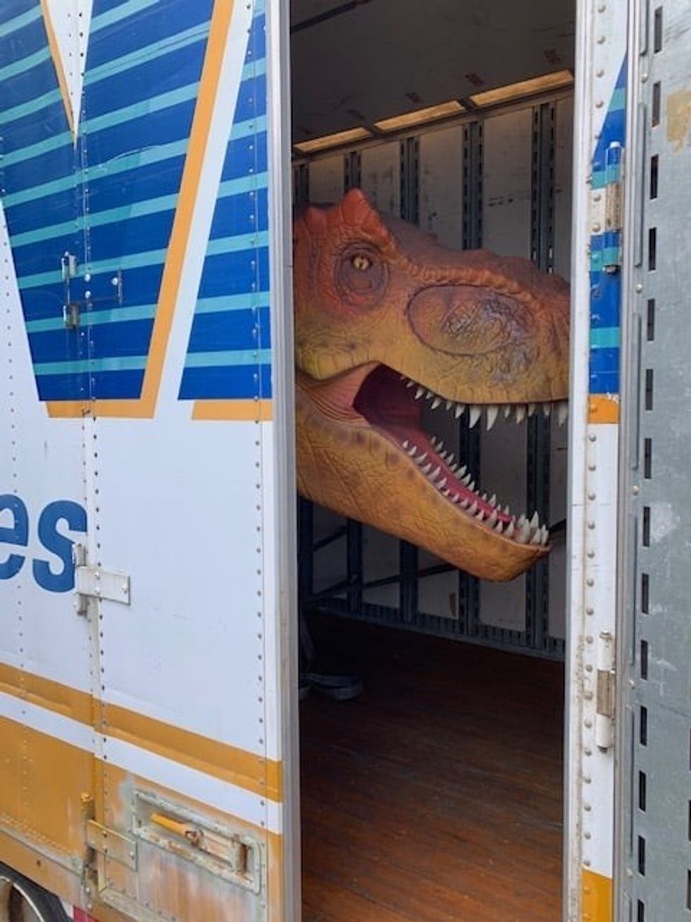 Shipping monster dino don