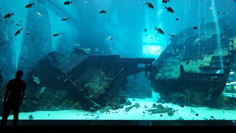 Shipwreck Tank Pico Play