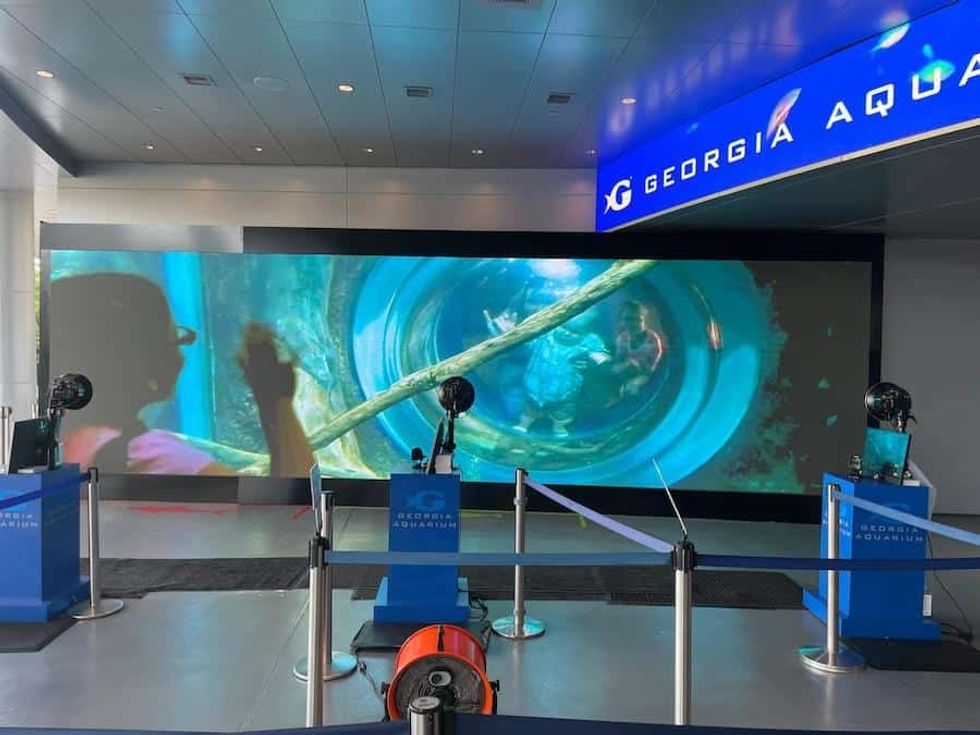 Showtime Pictures Georgia Aquarium
