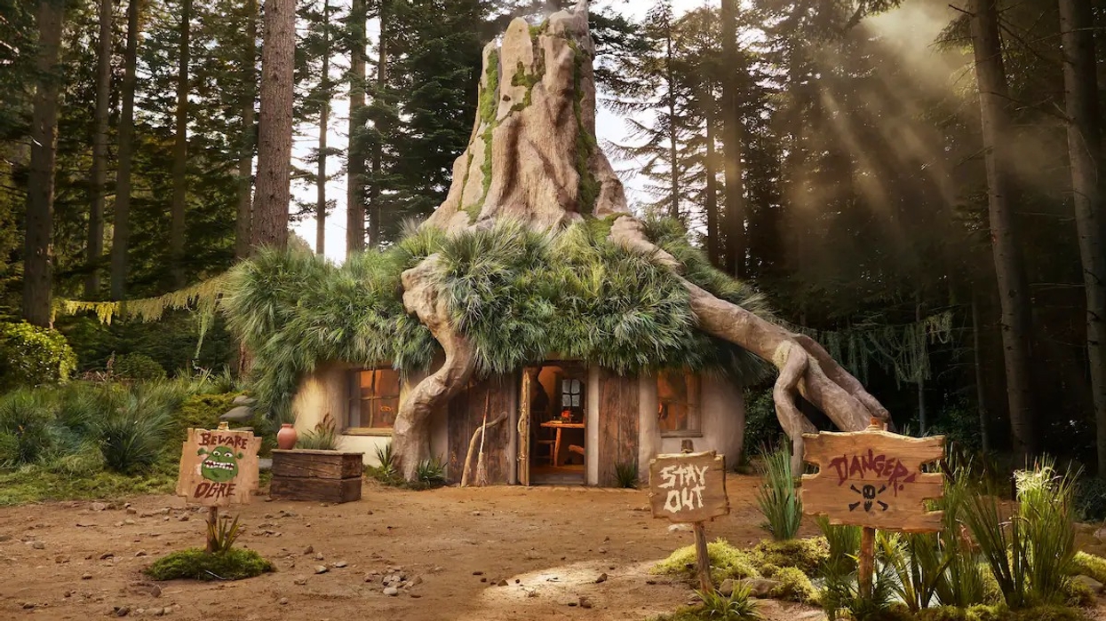 shrek swamp airbnb