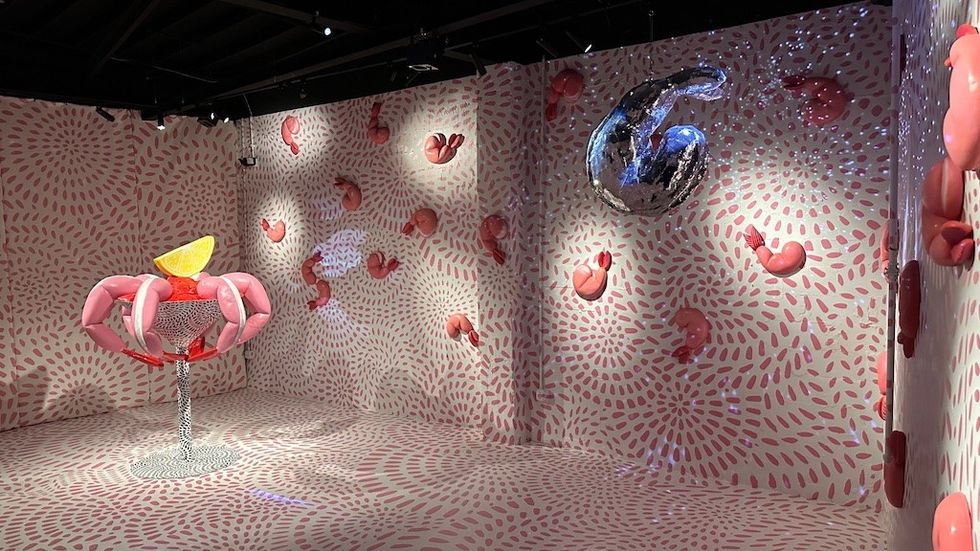 Shrimpfinity at Fairgrounds St. Pete