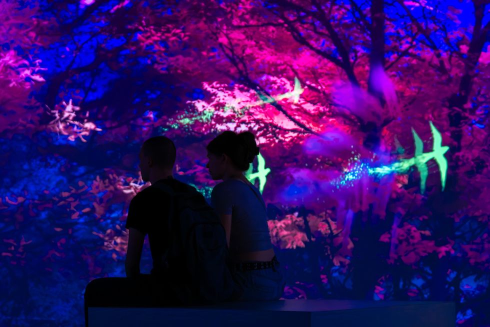Silhouetted couple sits against vibrant, colorful digital forest background.