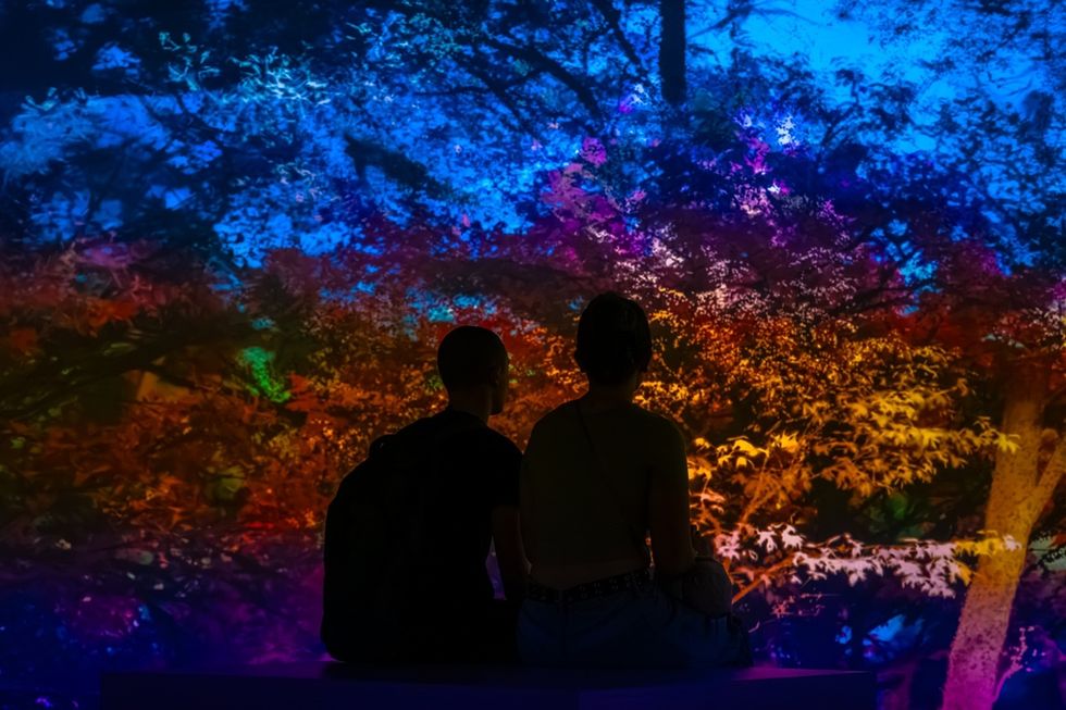 Silhouetted couple sits before a vibrant, colorful digital forest display at Culture House, Sunderland