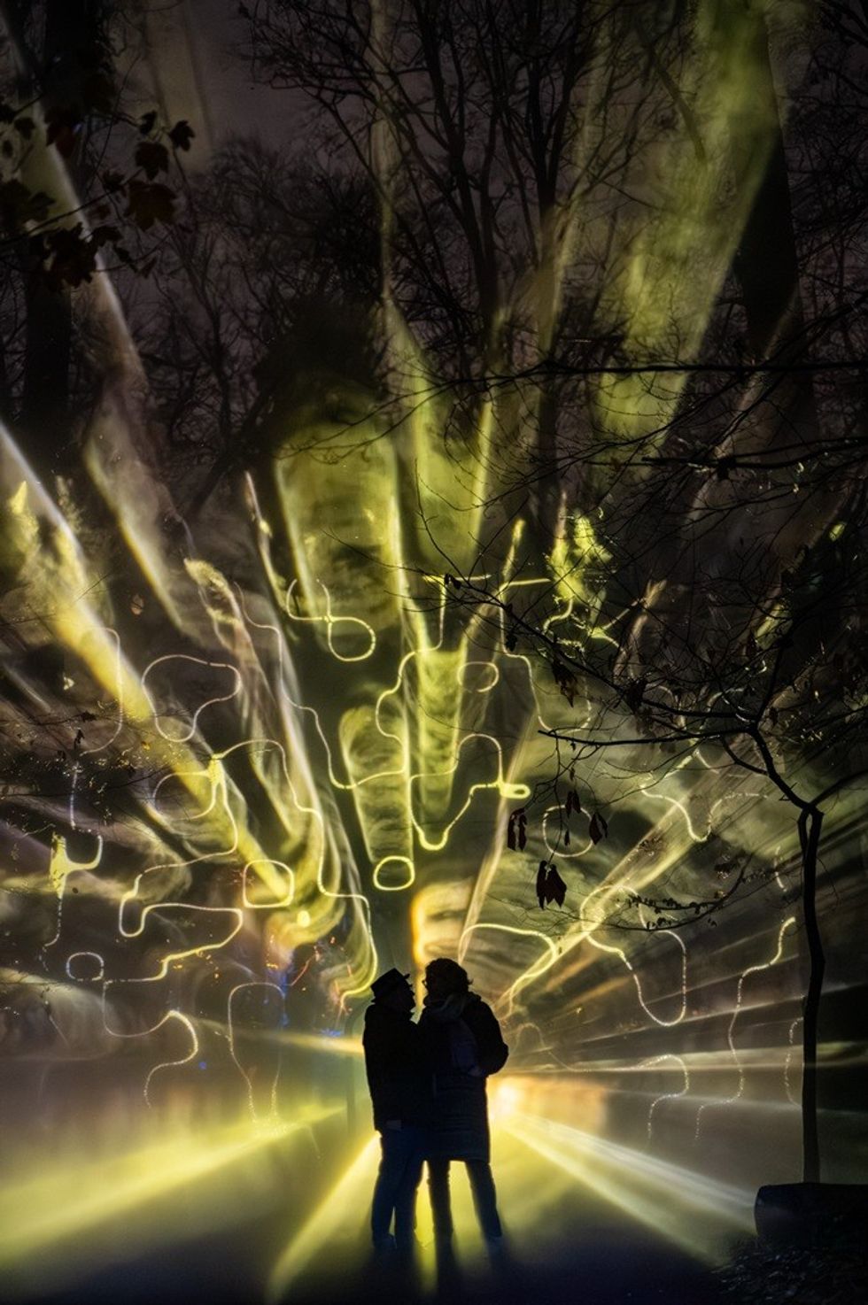 Silhouetted couple with vibrant yellow light beams and tree branches in the background.