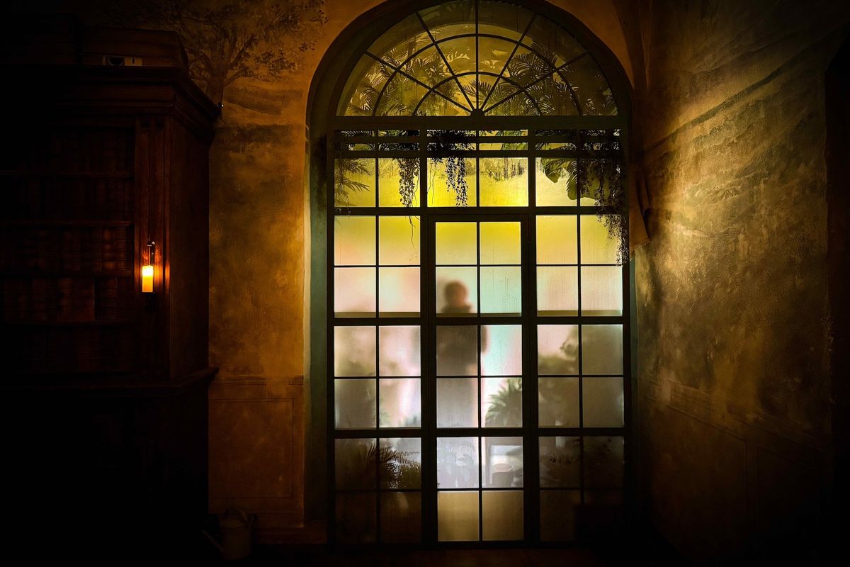 Silhouetted figure behind frosted glass door in dimly lit room with bookshelves.