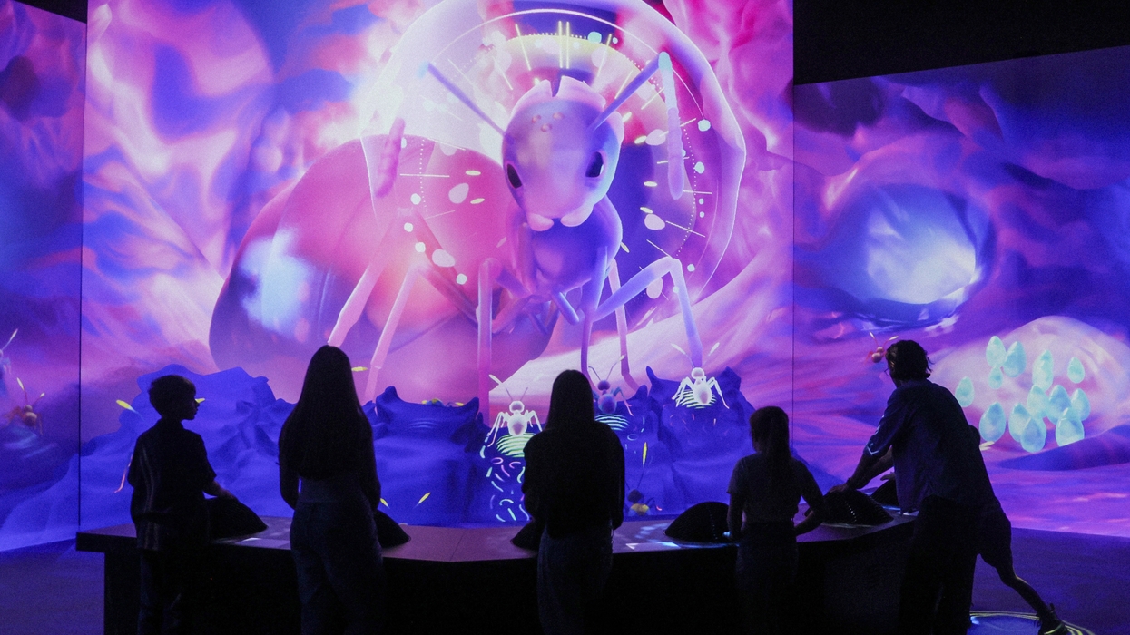 Silhouetted people enjoy a vibrant, immersive digital display with large, abstract insect art, Antopia by S1T2
