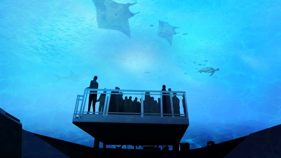Silhouetted people in an underwater observatory watch rays and fish swim above, dome media