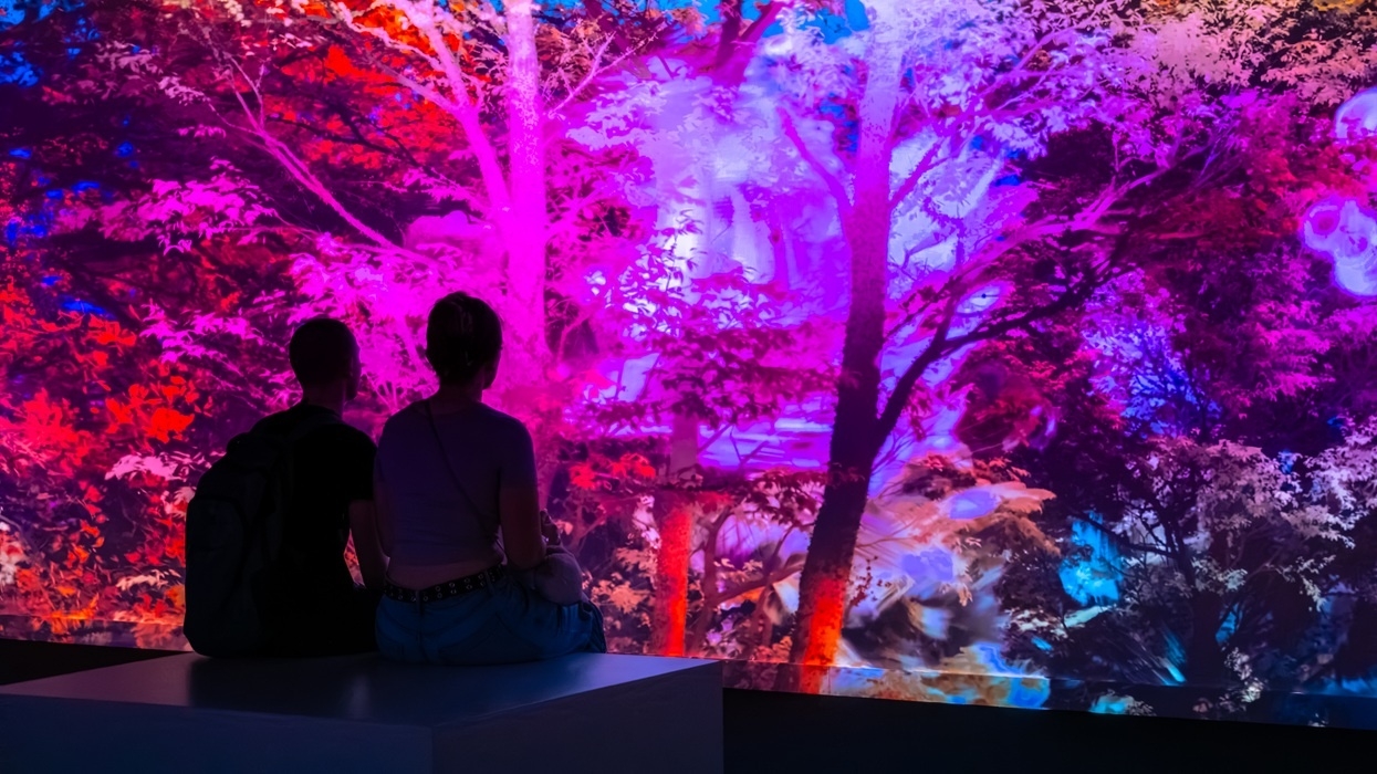 Silhouettes of two people against a vibrant, colourful digital forest display at Culture House in Sunderland
