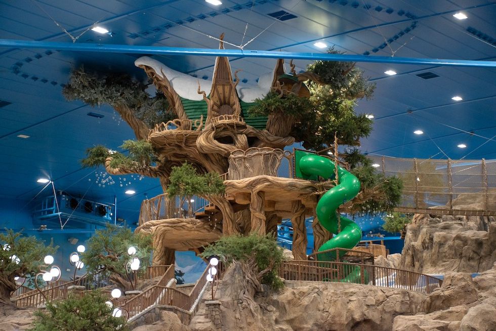 Sim Leisure play tree