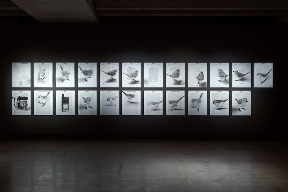 Simon Denny's exhibition at Mona