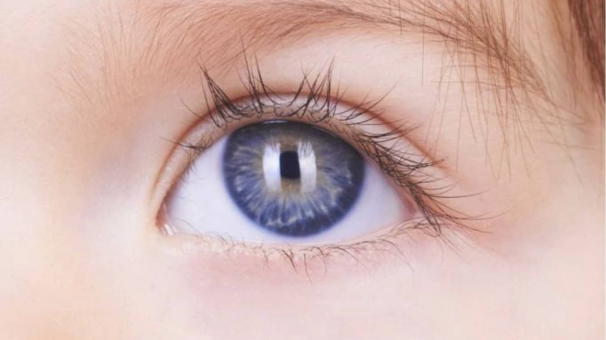 Sindrax Children's Eye development indoor playgrounds