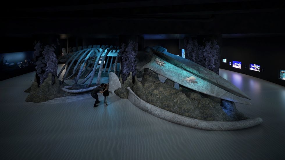 singapore oceanarium