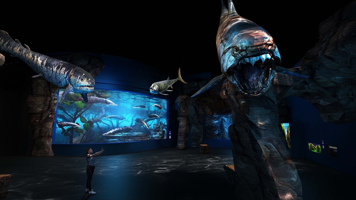 singapore oceanarium