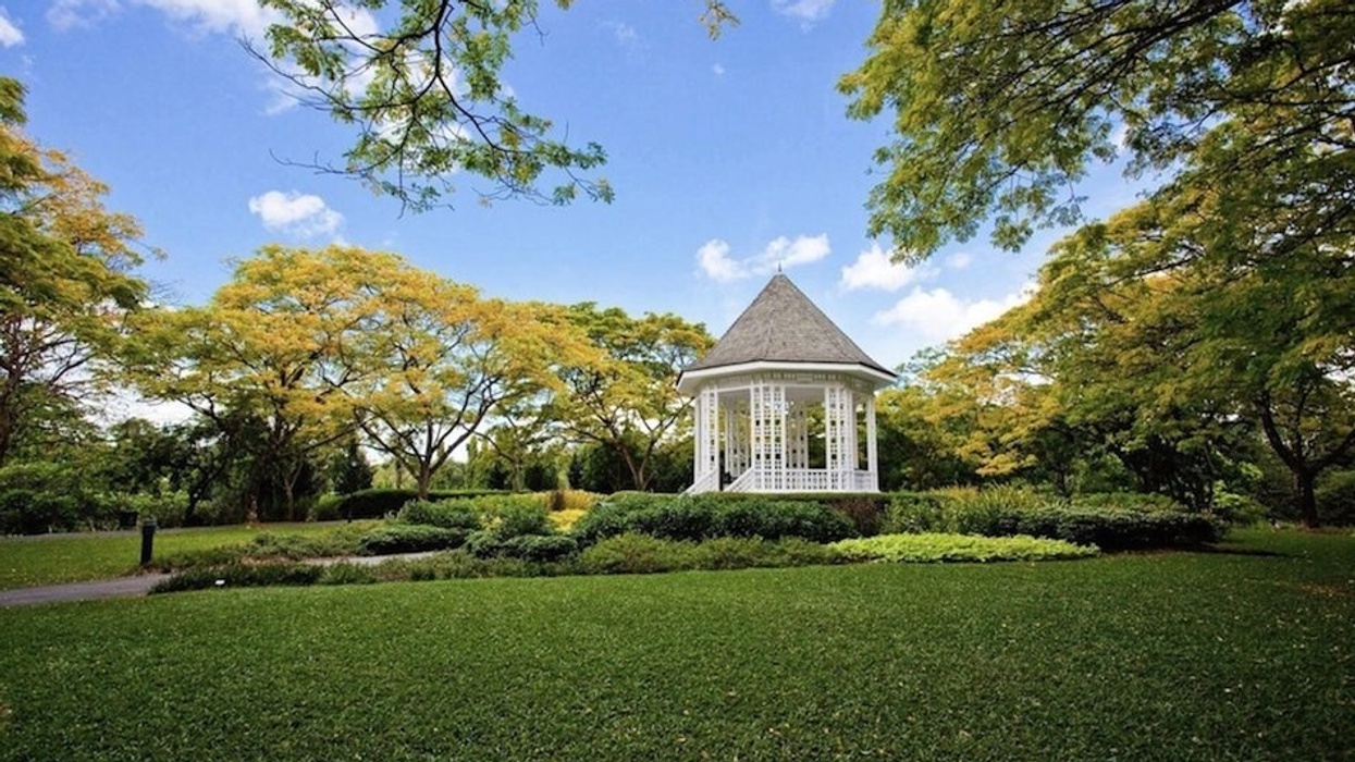 Singapore Orchid Garden Botanical