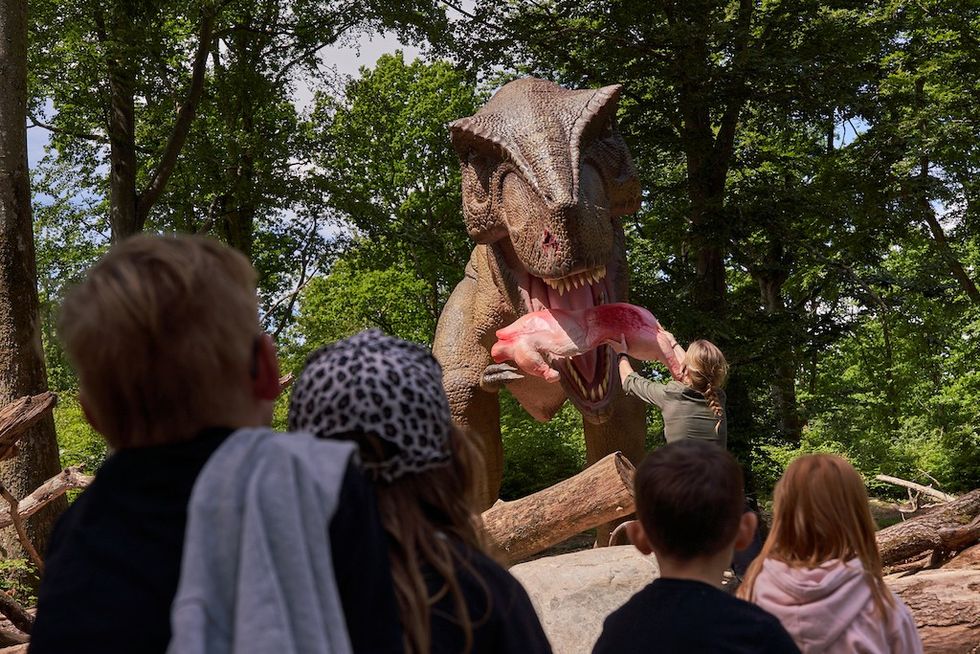 Skånes_Dinosauria Lund Gruppen</p><p></p>