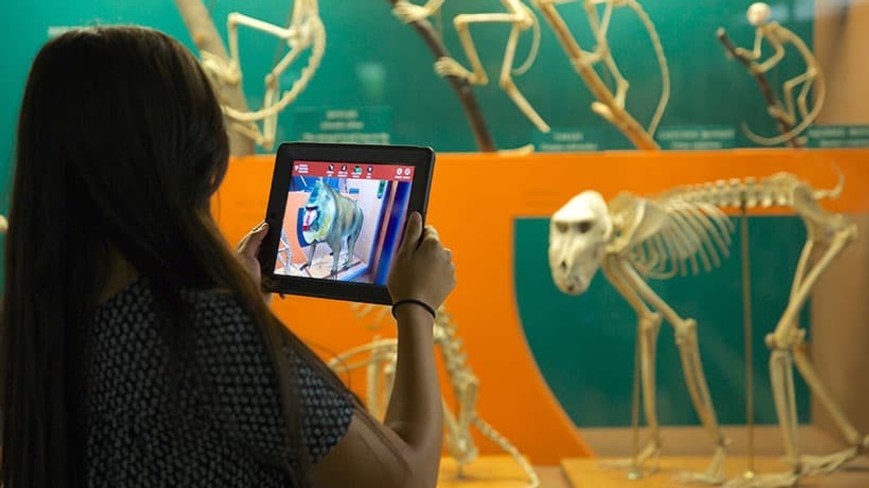 skin and bones smithsonian AR experience checklist