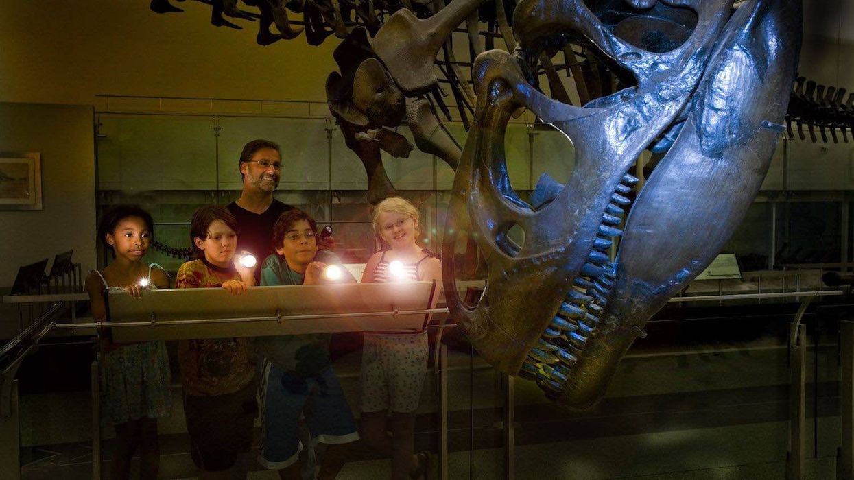 sleepver with dinosaurs at amnh american museum of natural history