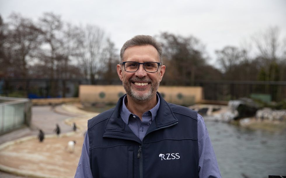 Smiling man named David Field, in RZSS vest with penguins in zoo background.